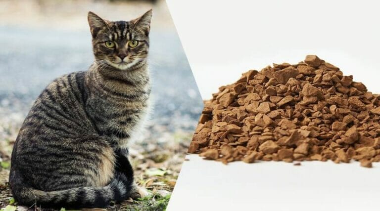 Do coffee grounds keep cats away