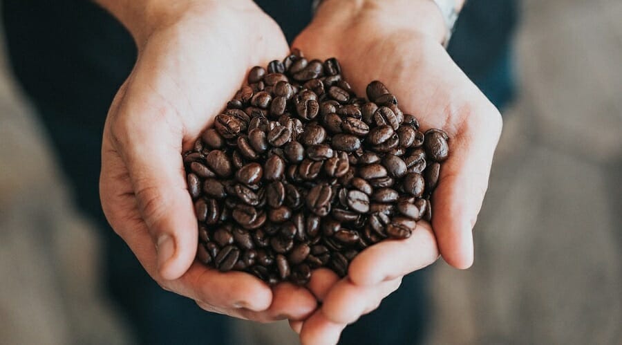 Which Coffee Bean and Roast Is Best for Cold Brew